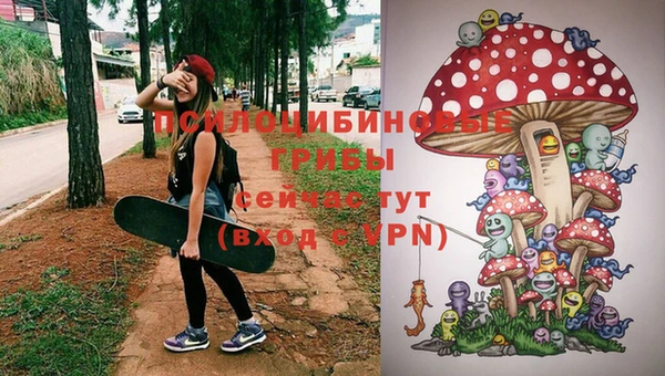 ECSTASY Володарск